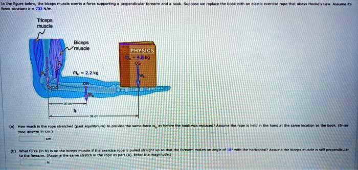 In the figure below, the biceps muscle exerts a force supporting a perpendicular forearm and a book. Suppose we replace the book with an elastic exercise rope that obeys Hooke's Law. Assume its force constant k = 733  N/m.

(a) How much is the rope stretched (past equilibrium) to provide the same force wb as before the book was replaced? Assume the rope is held in the hand at the same location as the book. (Enter your answer in cm.)

(b) What force (in N) is on the biceps muscle if the exercise rope is pulled straight up so that the forearm makes an angle of 18^∘ with the horizontal? Assume the biceps muscle is still perpendicular to the forearm. (Assume the same stretch in the rope as part (a). Enter the magnitude)