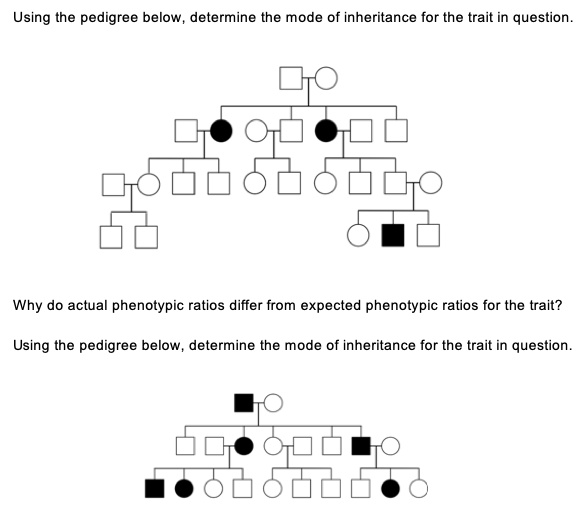 SOLVED: Using the pedigree below, determine the mode of inheritance for ...