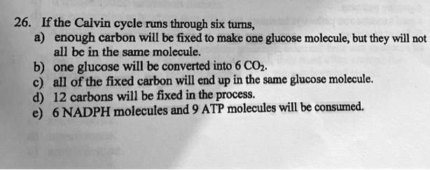 26 ifthe calvin cycle runs through six turns enough carbon will be