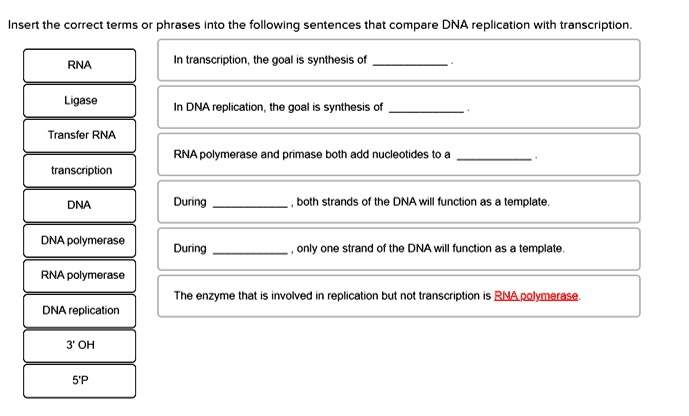 Sentence For Dna insert the correct terms phrases into the following sentences that ...