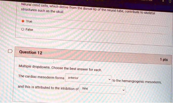 Neural crest cells, which derive from the dorsal lip of the neural tube, contribute to skeletal structures such as the skull.
True
False
Question 12
Multiple dropdowns. Choose the best answer for each.
The cardiac mesoderm forms anterior to the hemangiogenic mesoderm, and this is attributed to the inhibition of Wnt.