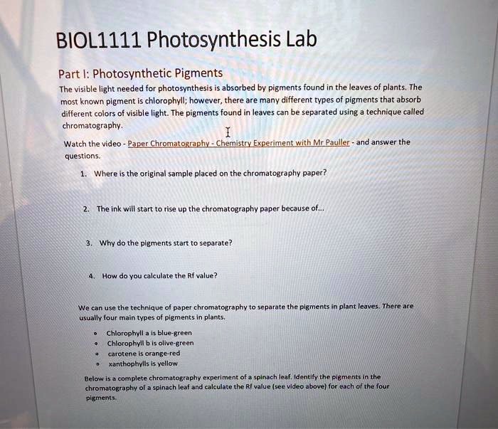 SOLVEDBIOL1111 Photosynthesis Lab Part I Photosynthetic Pigments The