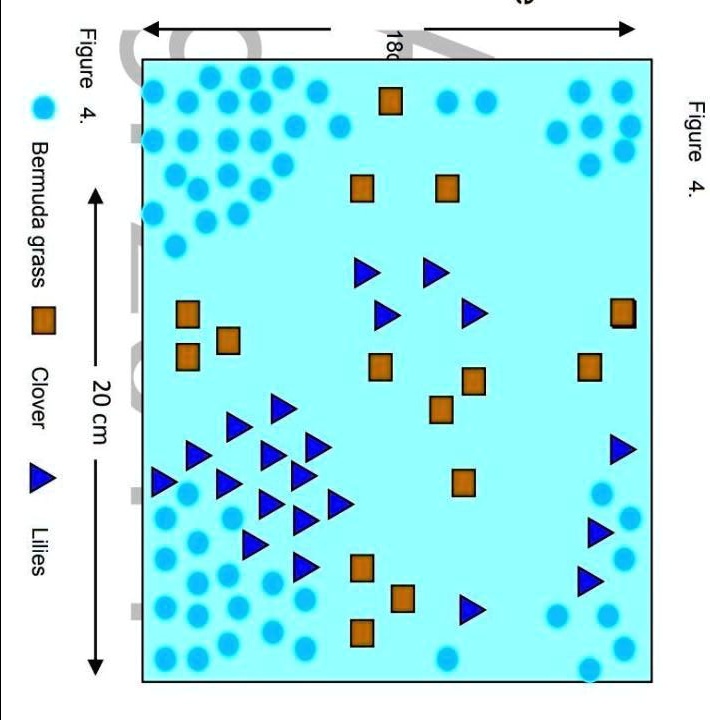 SOLVED: 1. Study the three patterns of population distribution in ...