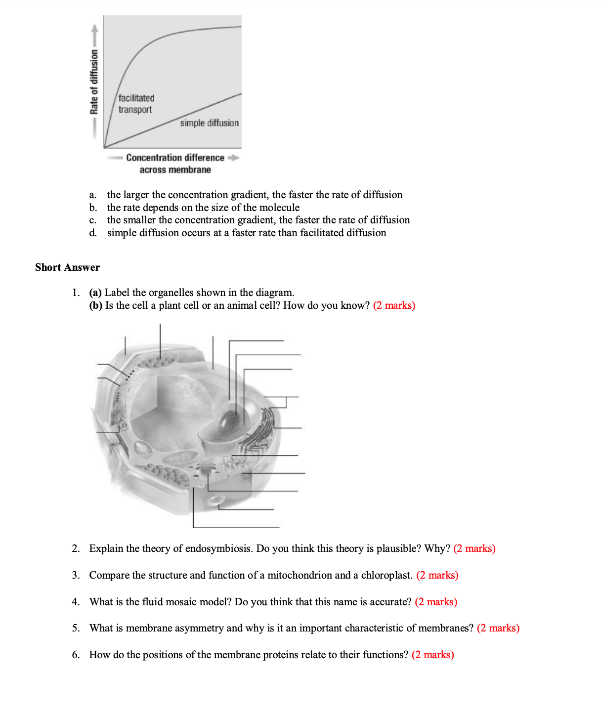a. the larger the concentration gradient, the faster the rate of diffusion
b. the rate depends on the size of the molecule
c. the smaller the concentration gradient, the faster the rate of diffusion
d. simple diffusion occurs at a faster rate than facilitated diffusion
Short Answer
1. (a) Label the organelles shown in the diagram.
(b) Is the cell a plant cell or an animal cell? How do you know? (2 marks)
2. Explain the theory of endosymbiosis. Do you think this theory is plausible? Why? (2 marks)
3. Compare the structure and function of a mitochondrion and a chloroplast. (2 marks)
4. What is the fluid mosaic model? Do you think that this name is accurate? (2 marks)
5. What is membrane asymmetry and why is it an important characteristic of membranes? (2 marks)
6. How do the positions of the membrane proteins relate to their functions? (2 marks)
