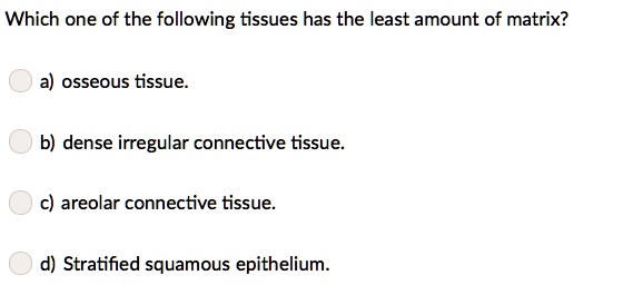 Which one of the following tissues has the least amount of matrix?

a) osseous tissue.

b) dense irregular connective tissue.

c) areolar connective tissue.

d) Stratified squamous epithelium.