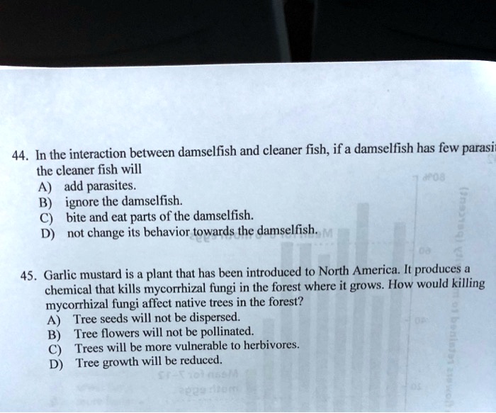 44. In the interaction between damselfish and cleaner fish, if a damselfish has few parasites
the cleaner fish will
A) add parasites.
B) ignore the damselfish.
C) bite and eat parts of the damselfish.
D) not change its behavior towards the damselfish.
45. Garlic mustard is a plant that has been introduced to North America. It produces a
chemical that kills mycorrhizal fungi in the forest where it grows. How would killing
mycorrhizal fungi affect native trees in the forest?
A) Tree seeds will not be dispersed.
B) Tree flowers will not be pollinated.
C) Trees will be more vulnerable to herbivores.
D) Tree growth will be reduced.