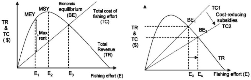 SOLVED: Figure 1: Bioeconomic Model of Fisheries In reference to Figure ...