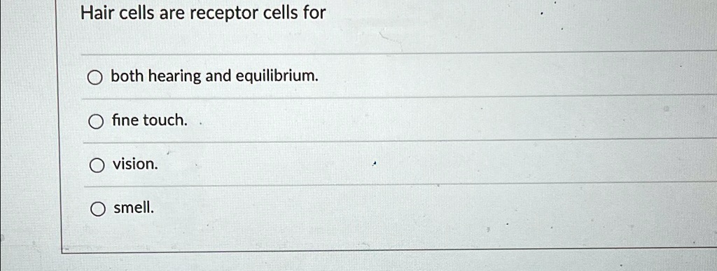 Hair cells are receptor cells for
both hearing and equilibrium.
fine touch.
vision.
smell.