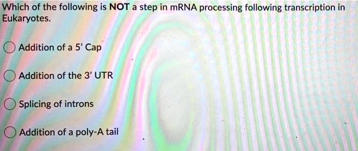 SOLVED: Which of the following is NOT a step in mRNA processing ...