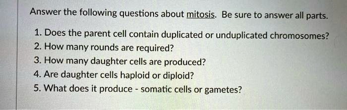 Answer the following questions about mitosis. Be sure to answer all parts.
1. Does the parent cell contain duplicated or unduplicated chromosomes?
2. How many rounds are required?
3. How many daughter cells are produced?
4. Are daughter cells haploid or diploid?
5. What does it produce - somatic cells or gametes?