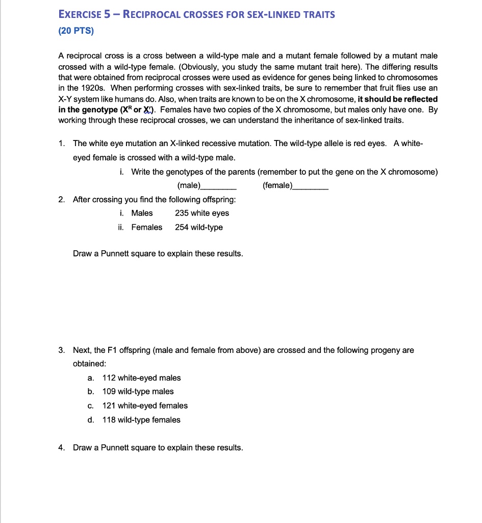 SOLVED: ExERCISE 5 RECIPROCAL CROSSES FOR SEX-LINKED TRAITS (20 PTS) A  reciprocal cross is a cross between a wild-type male and a mutant female  followed by mutant male crossed with a wild-type