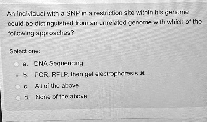 An individual with a SNP in a restriction site within his genome
could be distinguished from an unrelated genome with which of the
following approaches?
Select one:
a. DNA Sequencing
b. PCR, RFLP, then gel electrophoresis
c. All of the above
d. None of the above