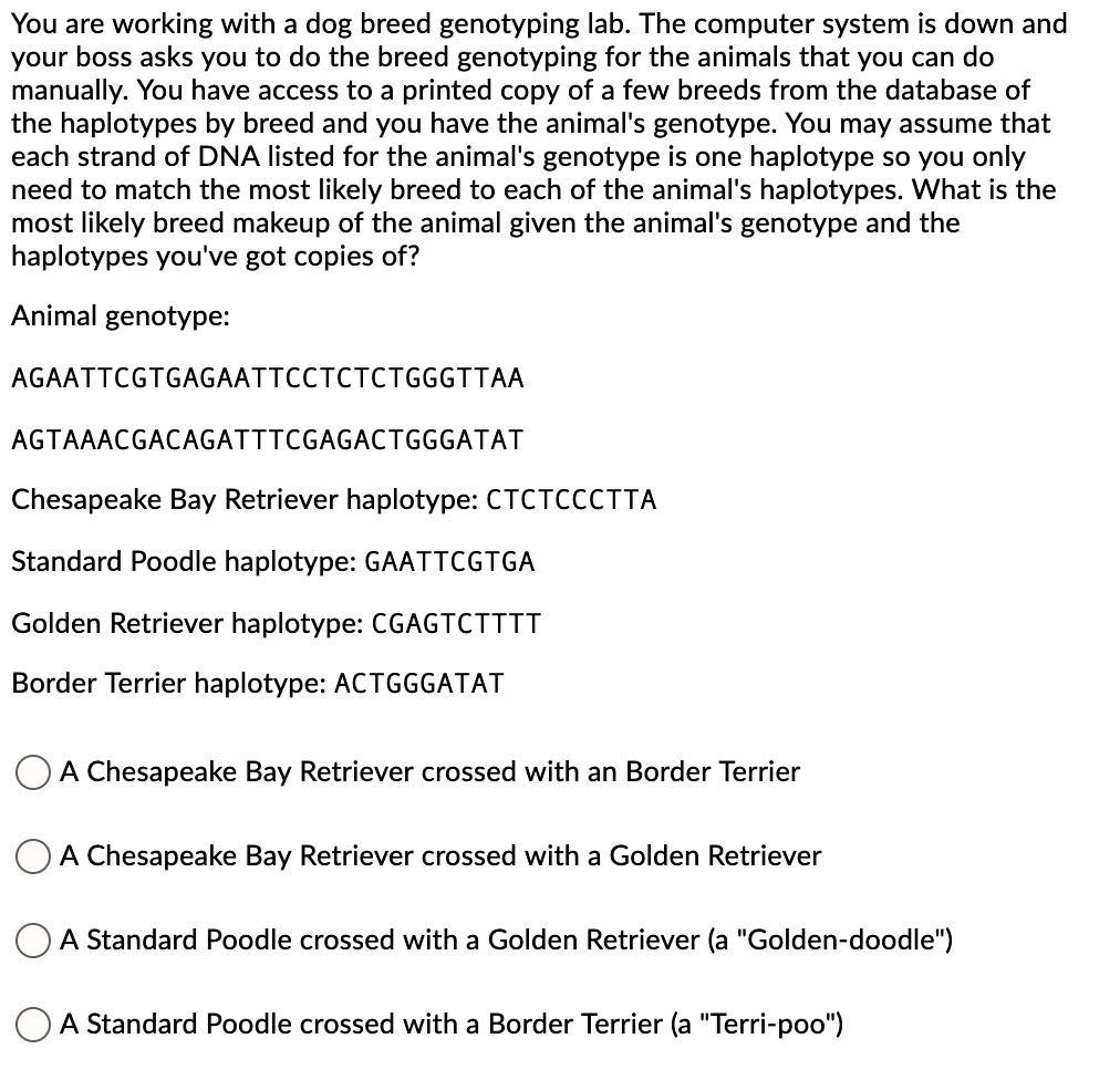SOLVED You are working with a dog breed genotyping lab. The computer