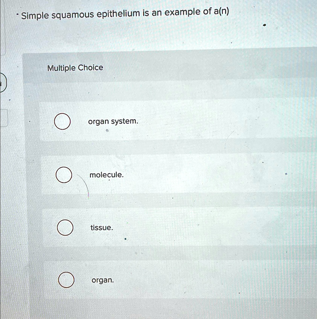 Simple squamous epithelium is an example of a(n) Multiple Choice organ ...