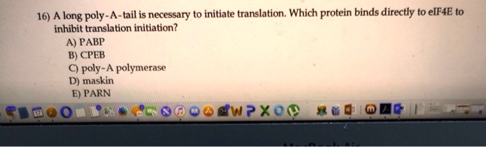 16) A long poly-A-tail is necessary to initiate translation. Which protein binds directly to eIF4E to
inhibit translation initiation?
A) PABP
B) CPEB
C) poly-A polymerase
D) maskin
E) PARN
