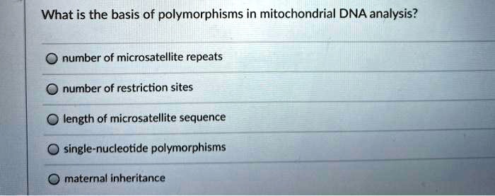 What is the basis of polymorphisms in mitochondrial DNA analysis?
number of microsatellite repeats
number of restriction sites
length of microsatellite sequence
single-nucleotide polymorphisms
maternal inheritance