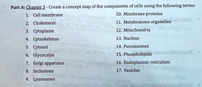 Part A Chapter 3 Create Concept Map Of The Components Of Cells Using The Following Terms Cell