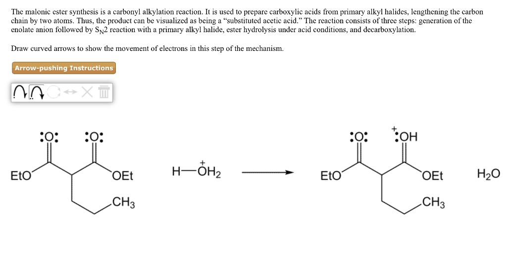 SOLVED: The Malonic Ester Synthesis Is A Carbonyl Alkylation Reaction ...