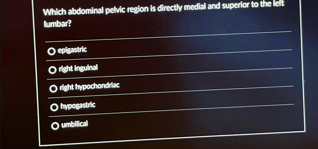 SOLVED: Which abdominal pelvic region is directly medial and superior ...