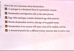 select the true statements about denaturation a zymogen is a denatured form of a proteolytic enzyme denaturation and digestion refer to the same process egg white meringue contains denatured 74734