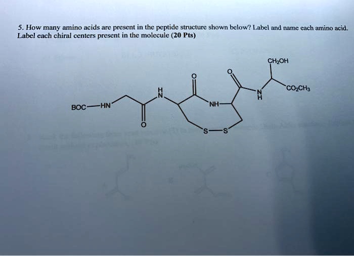 SOLVED 5. How many amino acids are present in the peptide structure