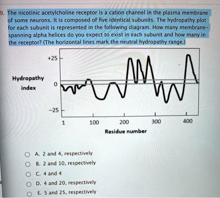 9. The nicotinic acetylcholine receptor is a cation channel in the plasma membrane of some neurons. It is composed of five identical subunits. The hydropathy plot for each subunit is represented in the following diagram. How many membrane-spanning alpha helices do you expect to exist in each subunit and how many in the receptor? (The horizontal lines mark the neutral hydropathy range.)

Hydropathy index
+25
0
-25
1 100 200 300 400
Residue number

A. 2 and 4, respectively
B. 2 and 10, respectively
C. 4 and 4
D. 4 and 20, respectively
E. 5 and 25, respectively
