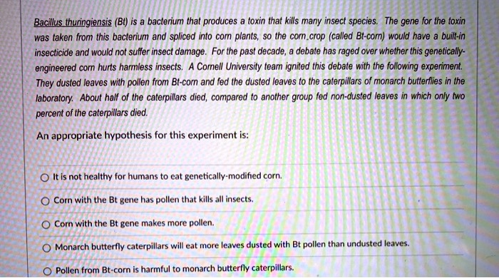 Bacillus thuringiensis (Bt) is a bacterium that produces a toxin that kills many insect species. The gene for the toxin
was taken from this bacterium and spliced into corn plants, so the corn crop (called Bt-corn) would have a built-in
insecticide and would not suffer insect damage. For the past decade, a debate has raged over whether this genetically-
engineered corn hurts harmless insects. A Cornell University team ignited this debate with the following experiment.
They dusted leaves with pollen from Bt-corn and fed the dusted leaves to the caterpillars of monarch butterflies in the
laboratory. About half of the caterpillars died, compared to another group fed non-dusted leaves in which only two
percent of the caterpillars died.
An appropriate hypothesis for this experiment is:
It is not healthy for humans to eat genetically-modified corn.
Corn with the Bt gene has pollen that kills all insects.
Corn with the Bt gene makes more pollen.
Monarch butterfly caterpillars will eat more leaves dusted with Bt pollen than undusted leaves.
Pollen from Bt-corn is harmful to monarch butterfly caterpillars.