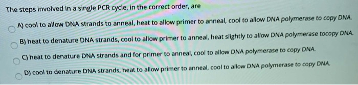The steps involved in a single PCR cycle, in the correct order, are
A) cool to allow DNA strands to anneal, heat to allow primer to anneal, cool to allow DNA polymerase to copy DNA.
B) heat to denature DNA strands, cool to allow primer to anneal, heat slightly to allow DNA polymerase to copy DNA.
C) heat to denature DNA strands and for primer to anneal, cool to allow DNA polymerase to copy DNA.
D) cool to denature DNA strands, heat to allow primer to anneal, cool to allow DNA polymerase to copy DNA.