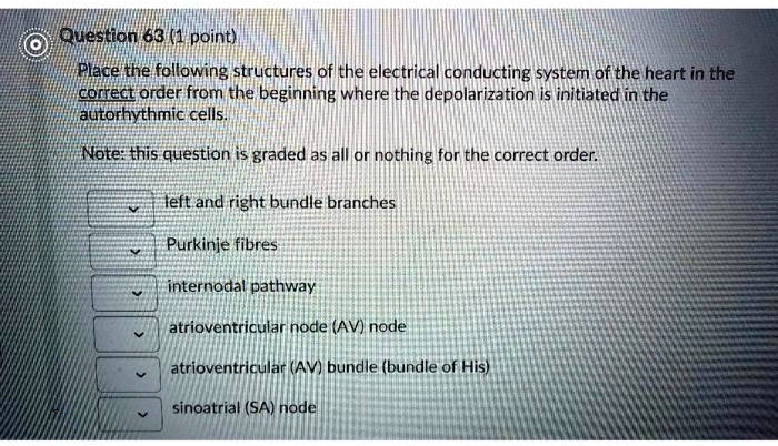 Place the following structures of the electrical conducting system of the heart in the correct order from the beginning where the depolarization is initiated in the autorhythmic cells.

Note: this question is graded as all or nothing for the correct order.

left and right bundle branches
Purkinje fibres
internodal pathway
atrioventricular node (AV) node
atrioventricular (AV) bundle (bundle of His)
sinoatrial (SA) node