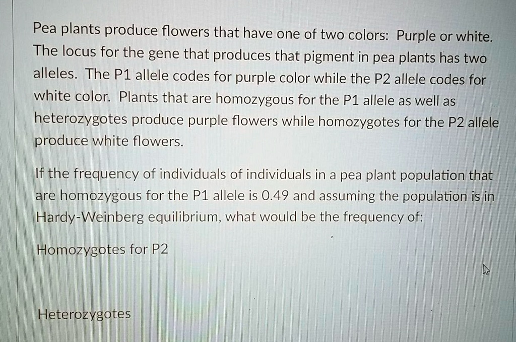 Pea plants produce flowers that have one of two colors Purple or white