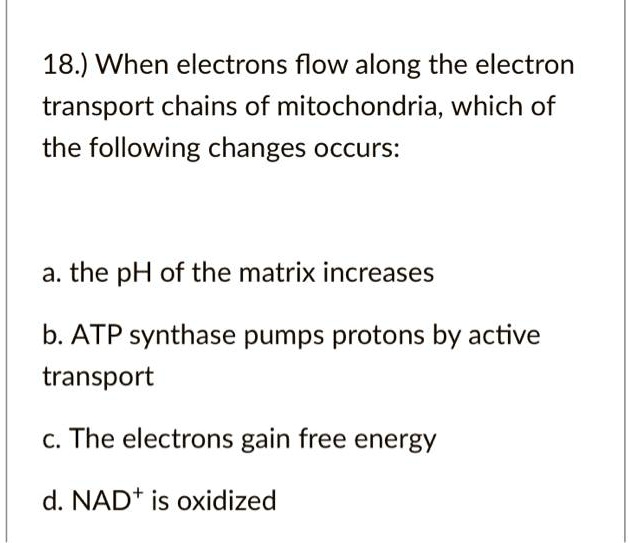 18.) When electrons flow along the electron transport chains of mitochondria, which of the following changes occurs:

a. the pH of the matrix increases
b. ATP synthase pumps protons by active transport
c. The electrons gain free energy
d. NAD+ is oxidized