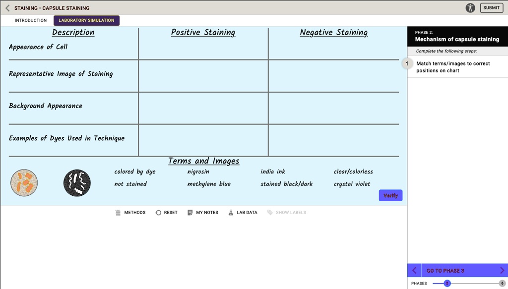 STAINING CAPSULE STAINING Sue INTRODUCTION Laboratory Simulation