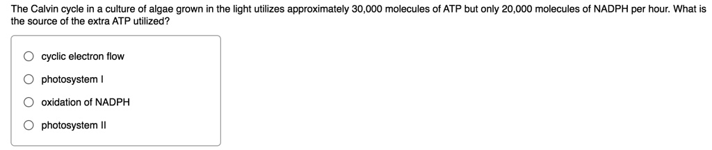 The Calvin cycle in a culture of algae grown in the light utilizes approximately 30,000 molecules of ATP but only 20,000 molecules of NADPH per hour. What is the source of the extra ATP utilized?
cyclic electron flow
photosystem I
oxidation of NADPH
photosystem II