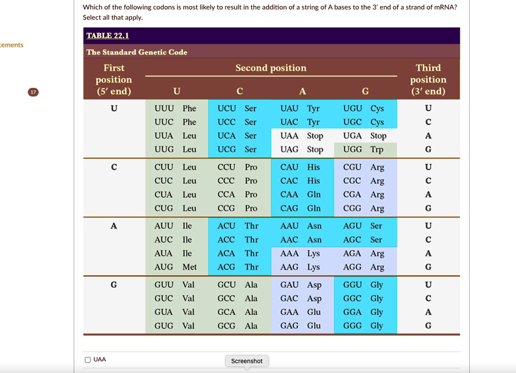 these are the options uaaaaagaaugauua which of the following codons is most likely to result in the addition of a string of a bases to the 3 end of a strand of mrna select all that apply tab 01649