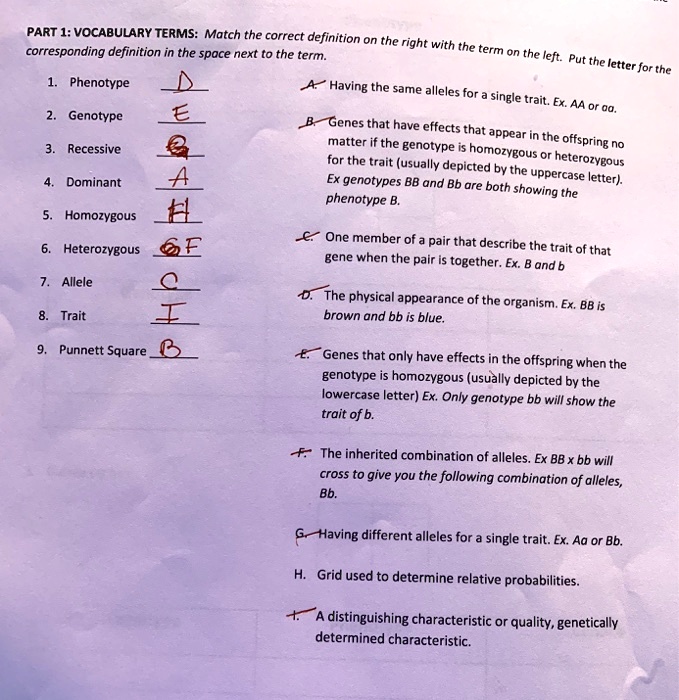 Match each vocabulary term on the left with its