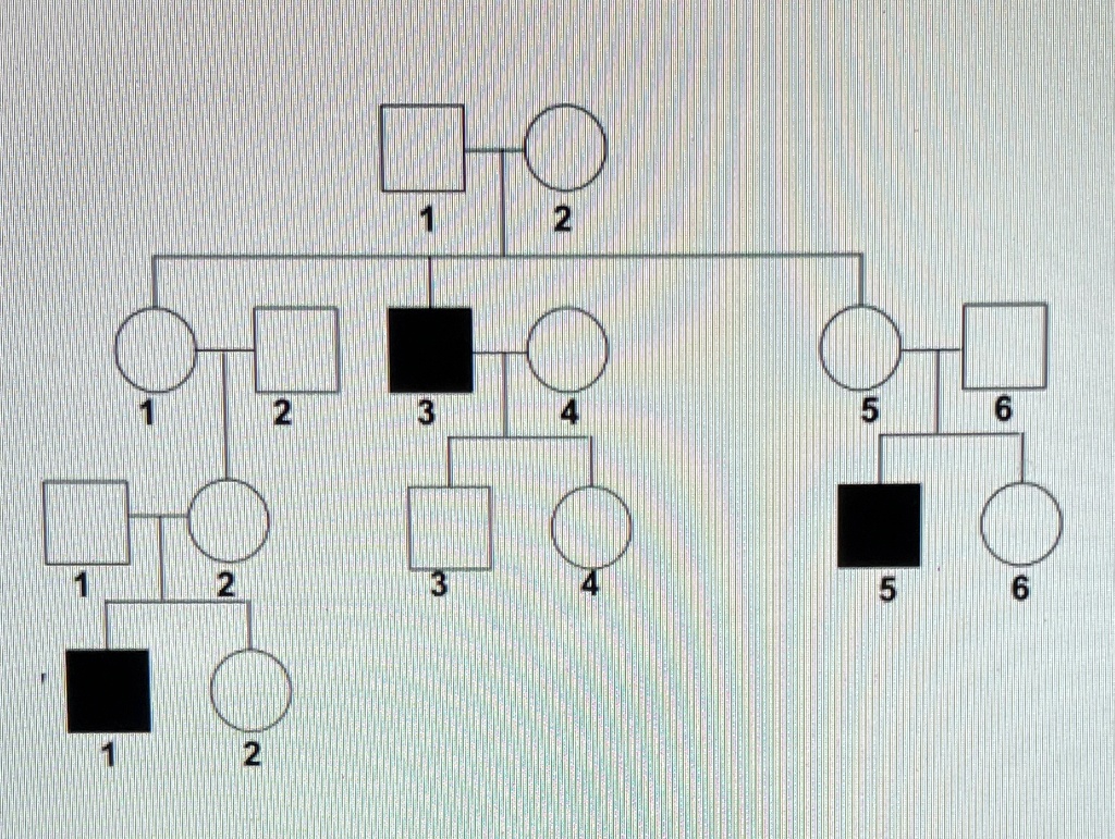 VIDEO solution: Example: X-linked recessive trait Pedigree showing the ...