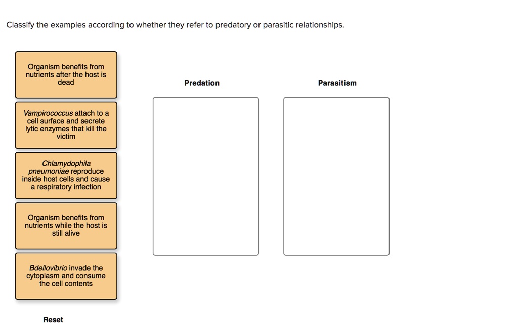 SOLVED: Classify the examples according to whether they refer to