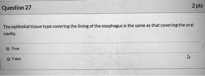 The epithelial tissue type covering the lining of the esophagus is the same as that covering the oral cavity.
True
False