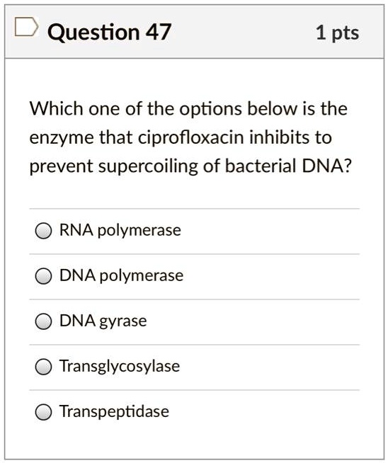 Which one of the options below is the enzyme that ciprofloxacin inhibits to prevent supercoiling of bacterial DNA?

RNA polymerase
DNA polymerase
DNA gyrase
Transglycosylase
Transpeptidase