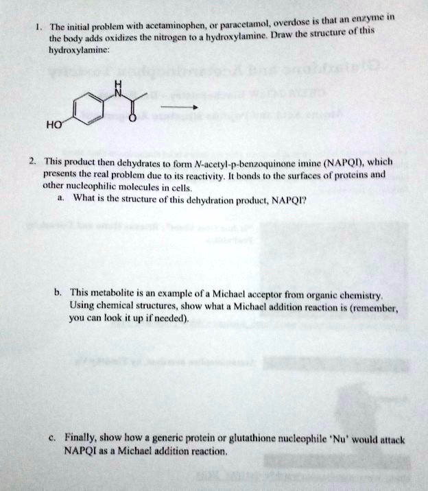 glutathione and creatine PDF) Paracetamol overdose: pathophysiology and nursing management main image 0