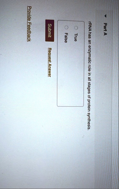 part a rrna has an enzymatic role in all stages of protein synthesis true false submit request answer provide feedback 80265