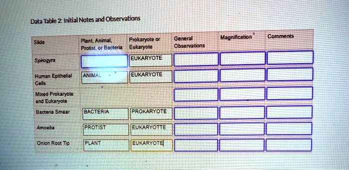 SOLVED: Data Table 2: Initial Notes and Observations Plant Animal ...
