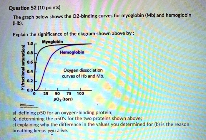 Solved Question 52 10 Points The Graph Below Shows The O2 Binding Curves For Myoglobin Mb 9900