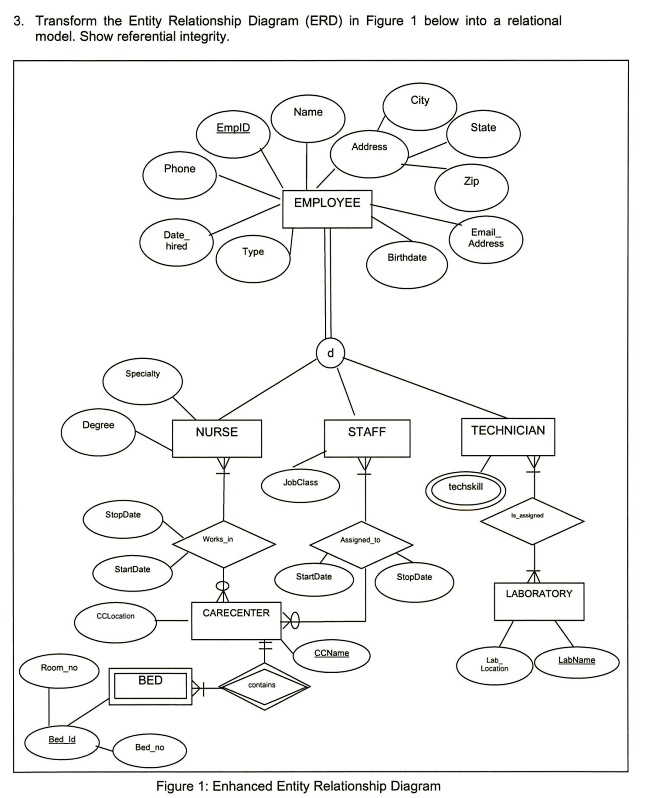 SOLVED: Texts: Database *urgent please * 3. Transform the Entity ...