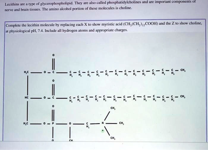 Lecithins are a type of glycerophospholipid. They are also called