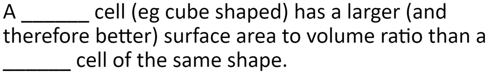 a cell eg cube shaped has a larger and therefore better surface area to ...
