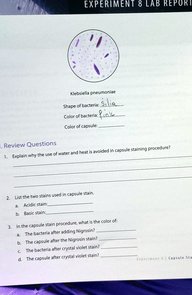 SOLVED EXPERIMENT 8 LAB REPORT Klebsiella pneumoniae Slime Shape of