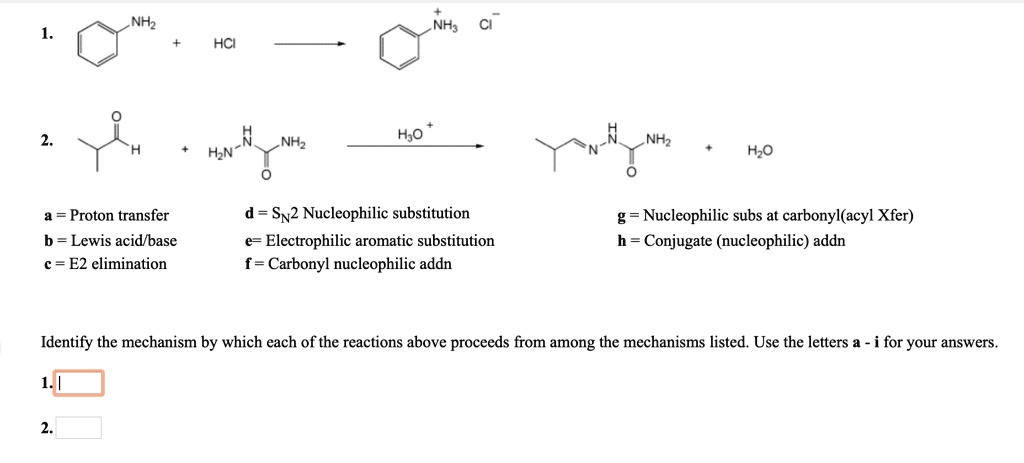 SOLVED: NH3 HCl NH3 H2O NH3 H2N H2O Proton transfer = Lewis acid-base ...