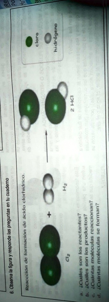 Solved Observa La Figura Y Responde Las Preguntas En Tu Cuaderno Reacccion De Formacion De