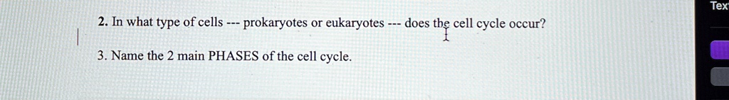 2 in what type of cells prokaryotes or eukaryotes does the cell cycle occur 3 name the 2 main phases of the cell cycle 89449